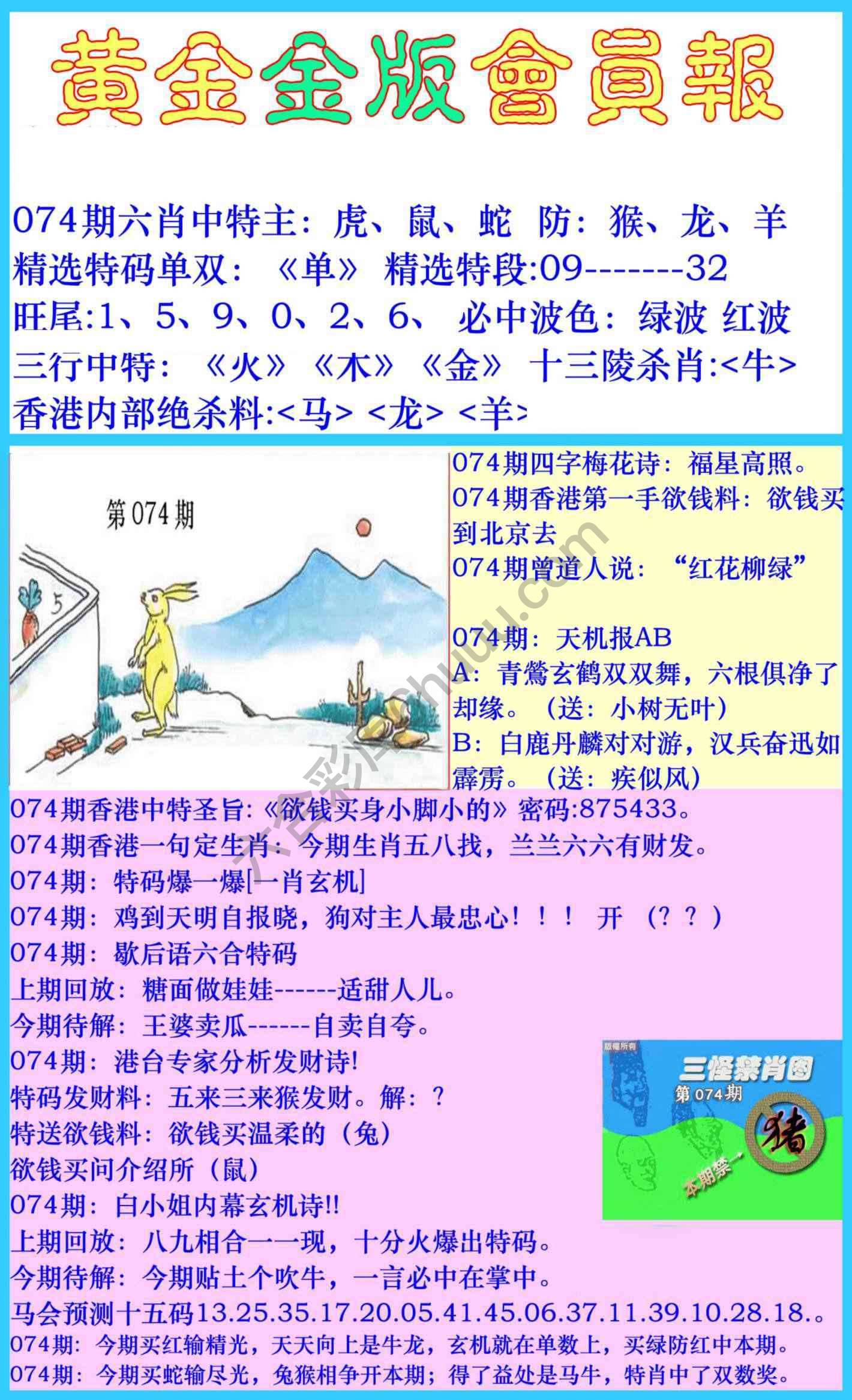 黄金金版会员报