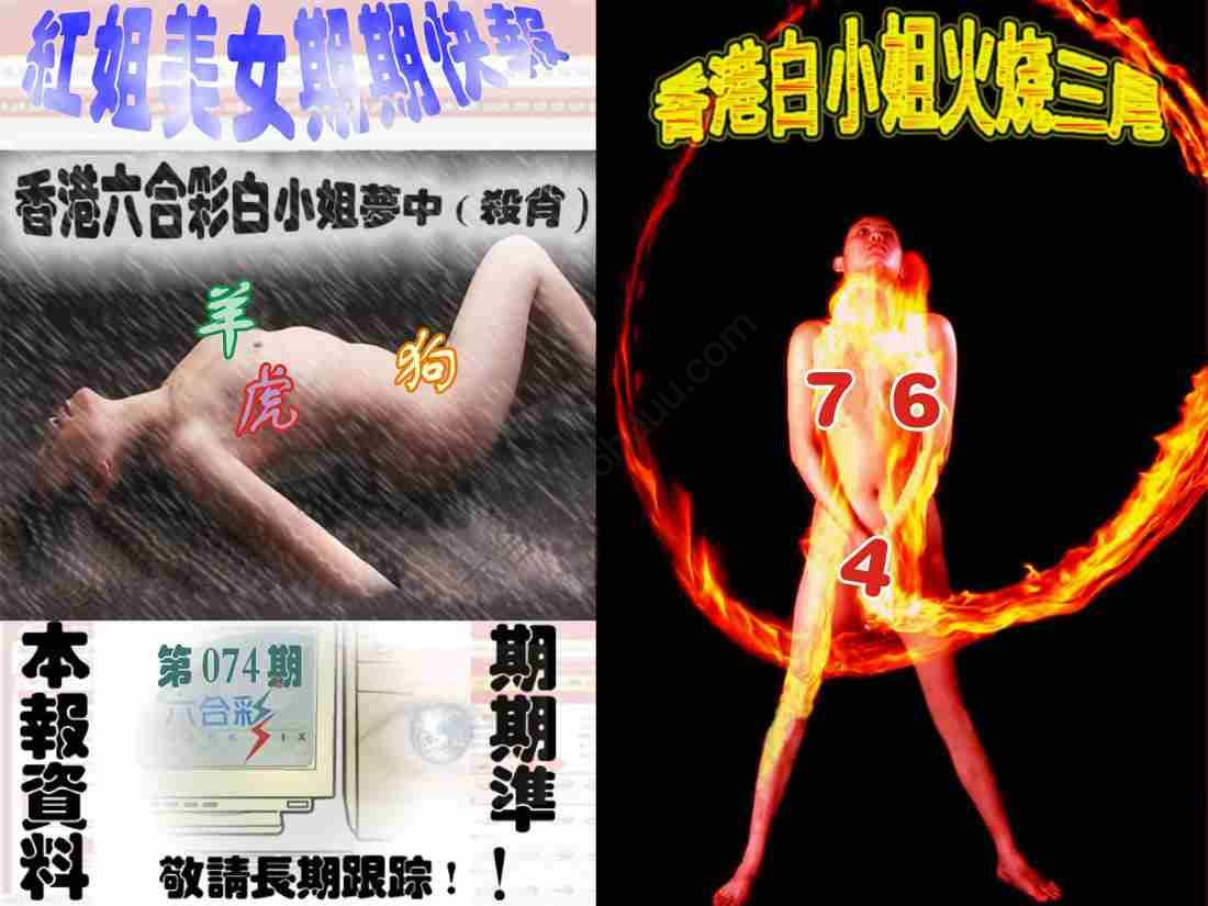 环球美女特码报