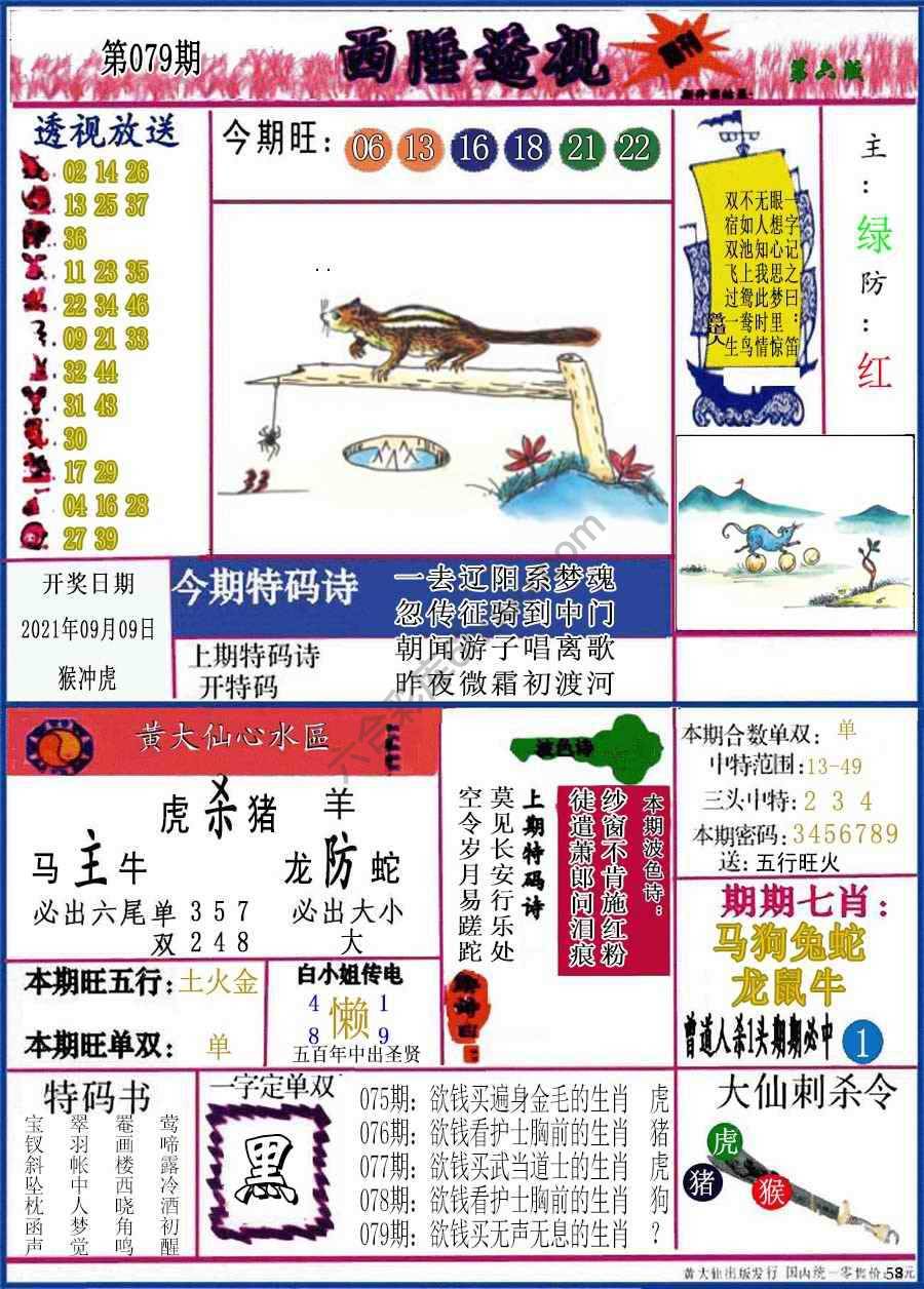 西陲透视（正版）