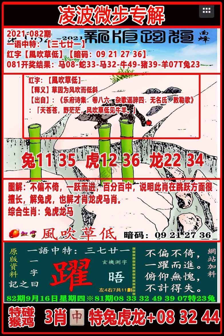 凌波微步解跑狗