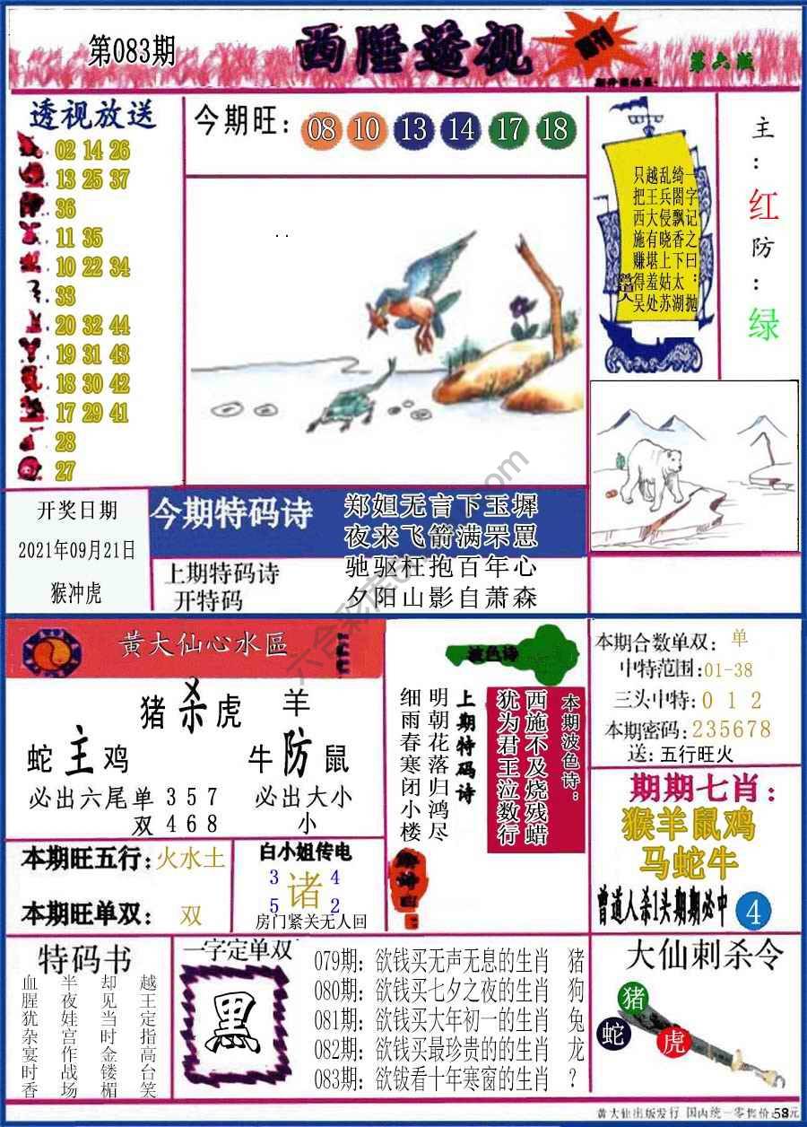 西陲透视（正版）