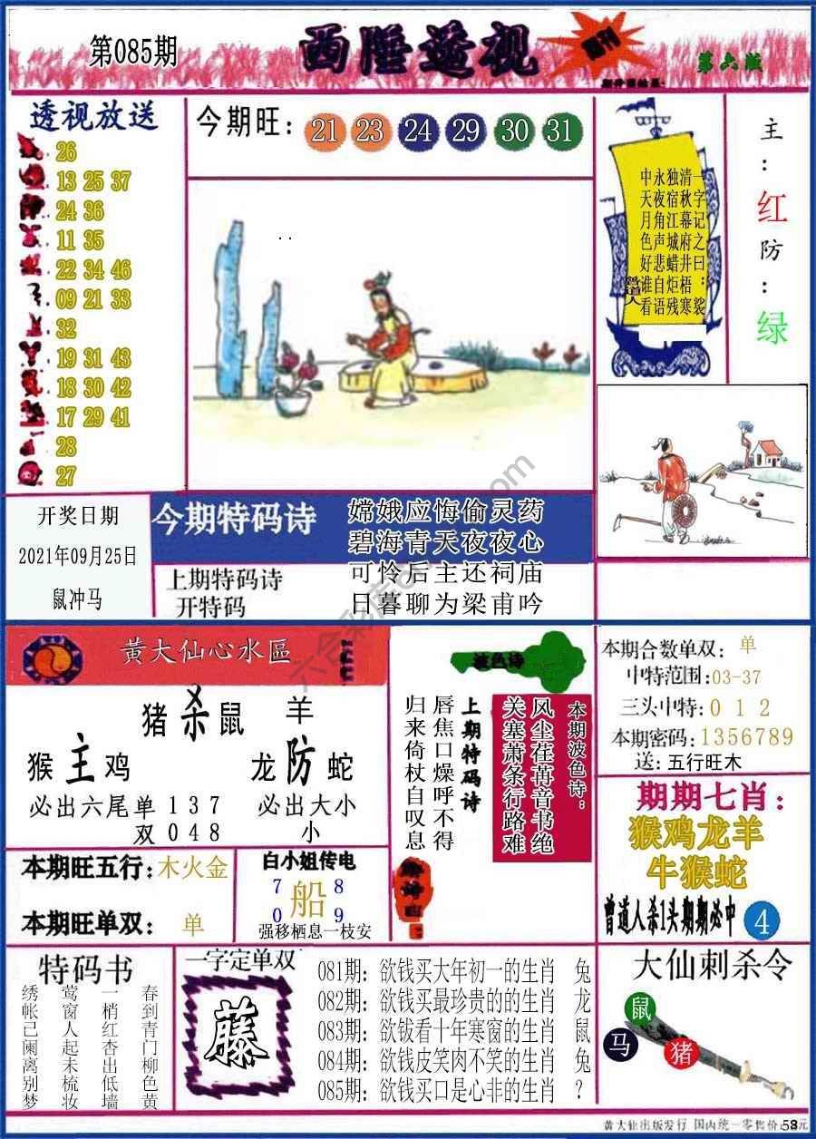 西陲透视（正版）