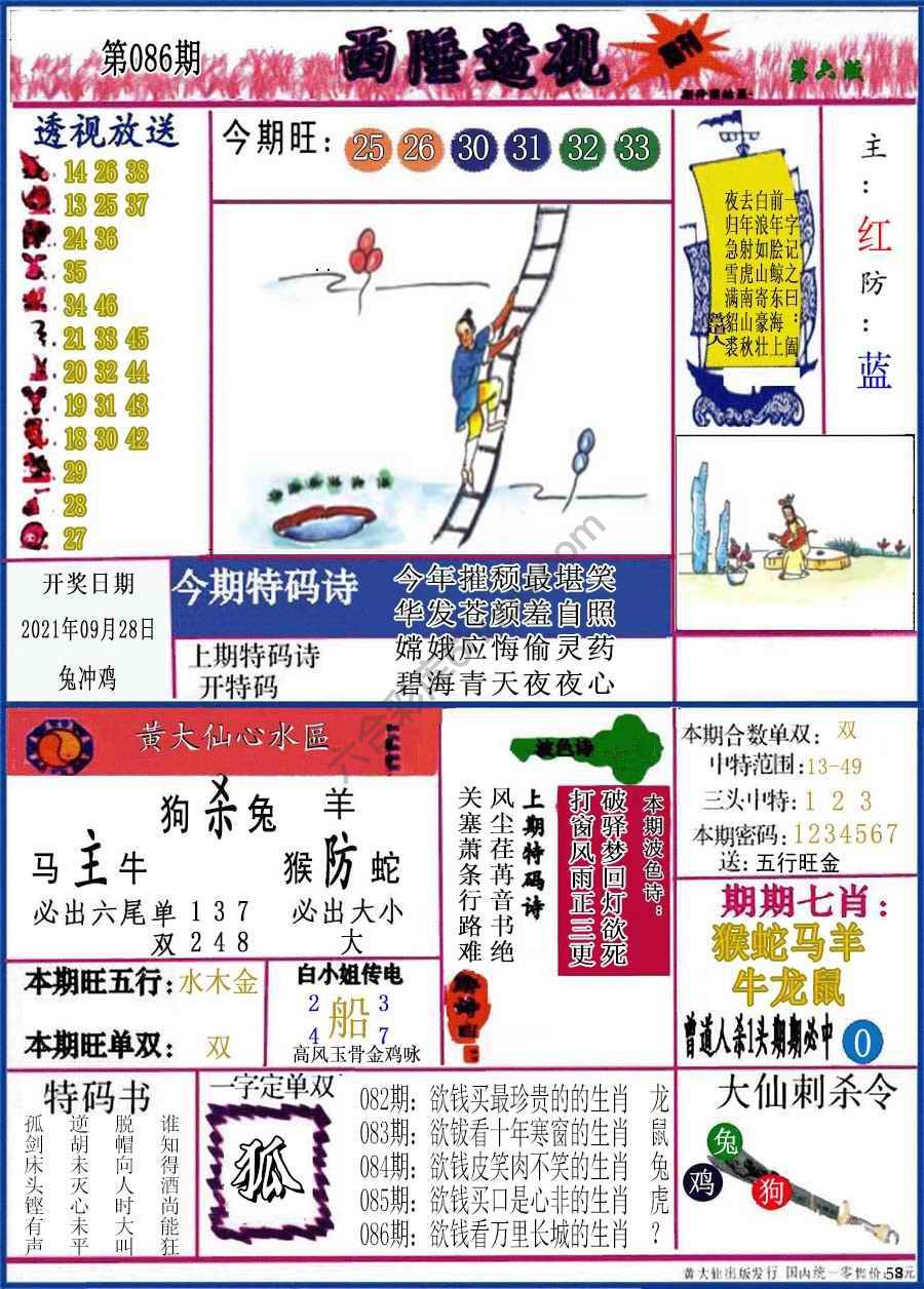 西陲透视（正版）