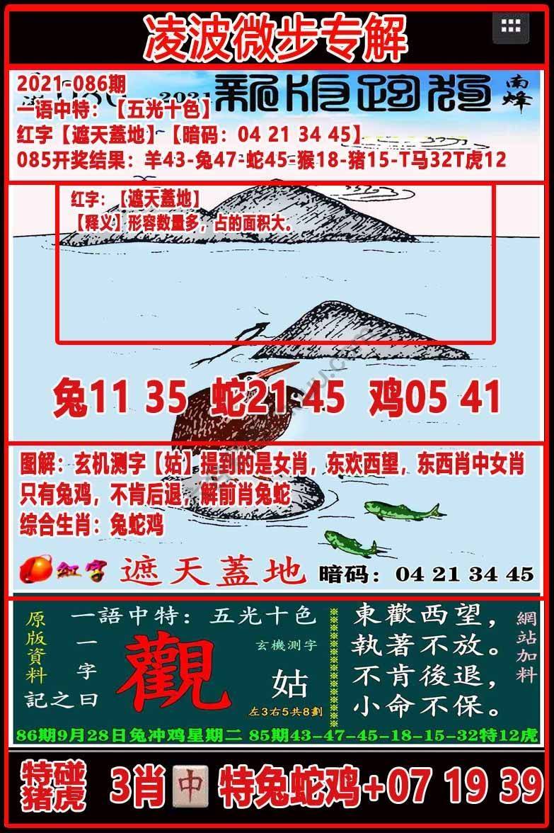 凌波微步解跑狗