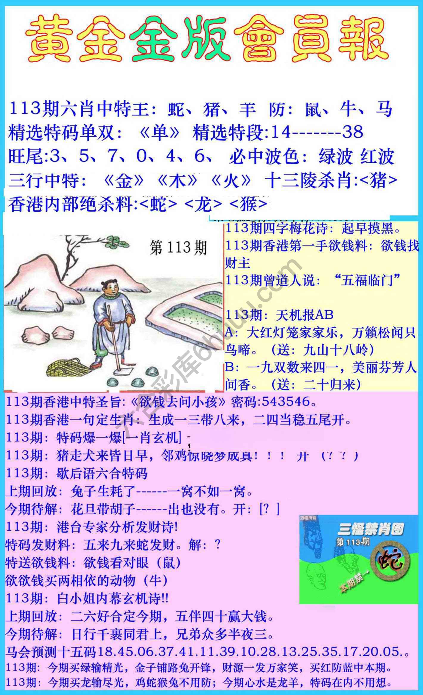 黄金金版会员报