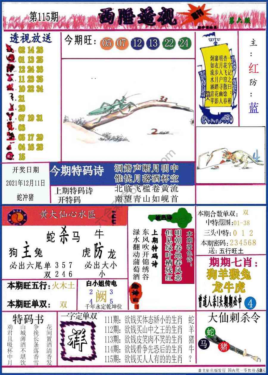 西陲透视（正版）