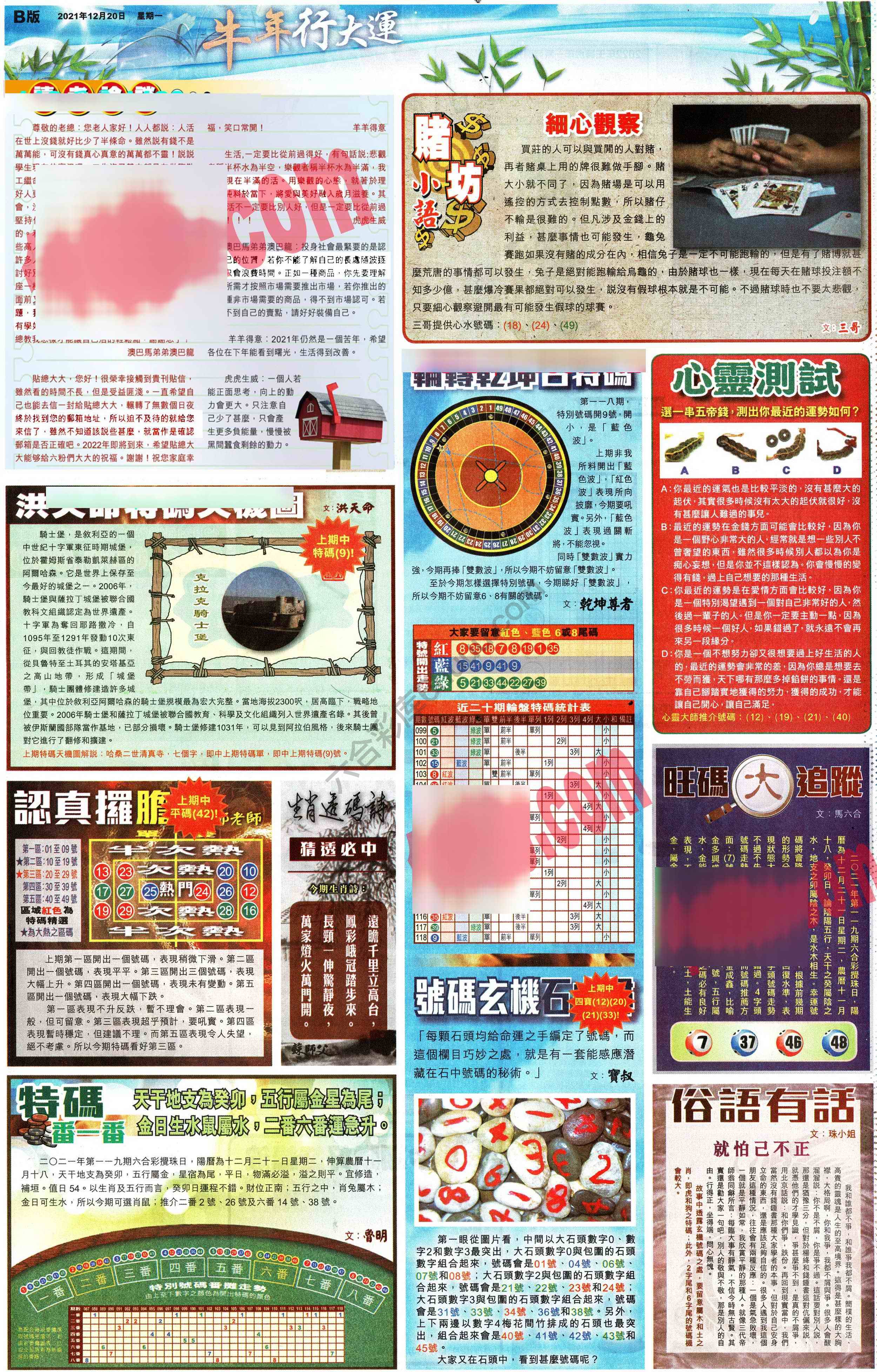 大版贴士皇