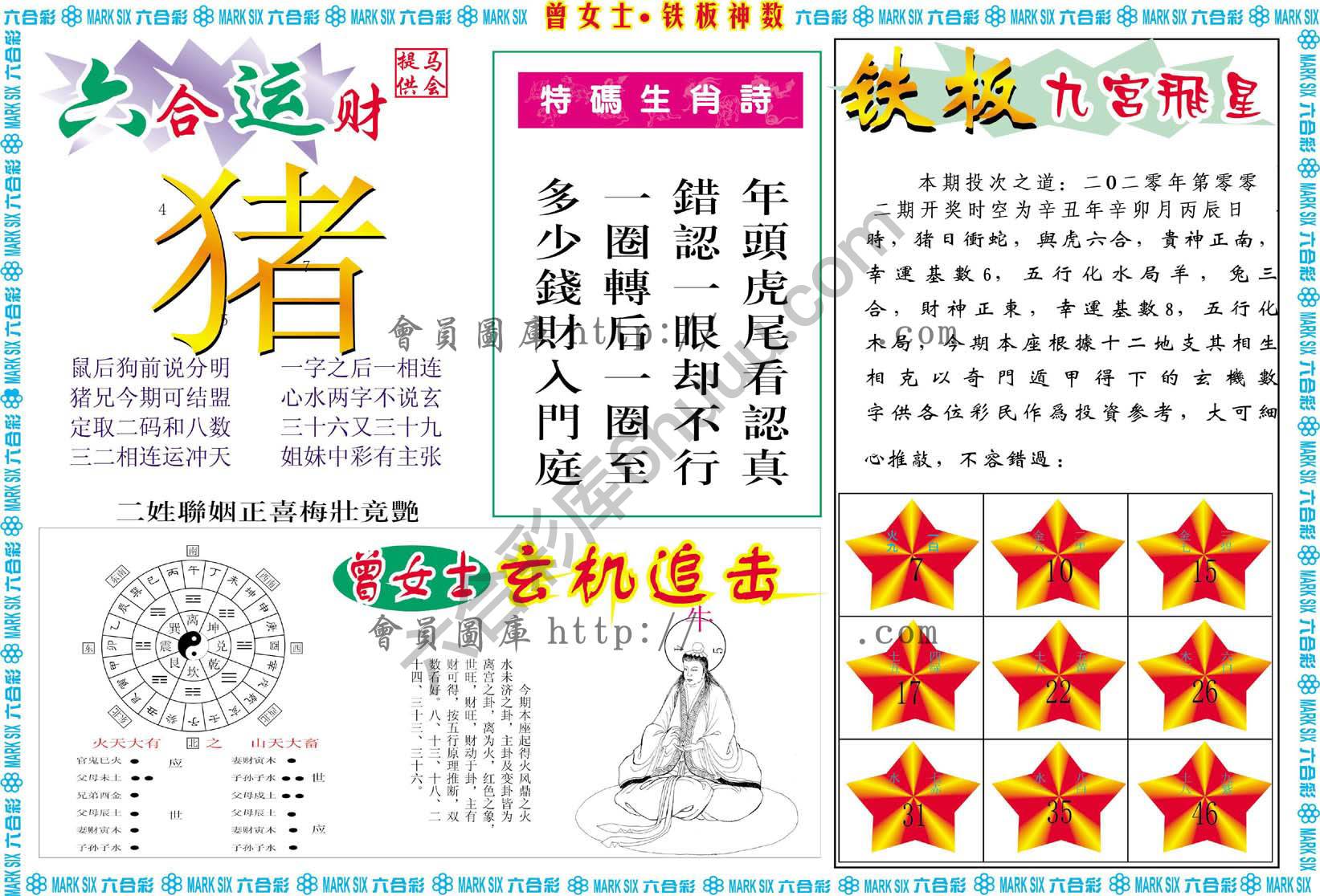 曾女士铁板神数