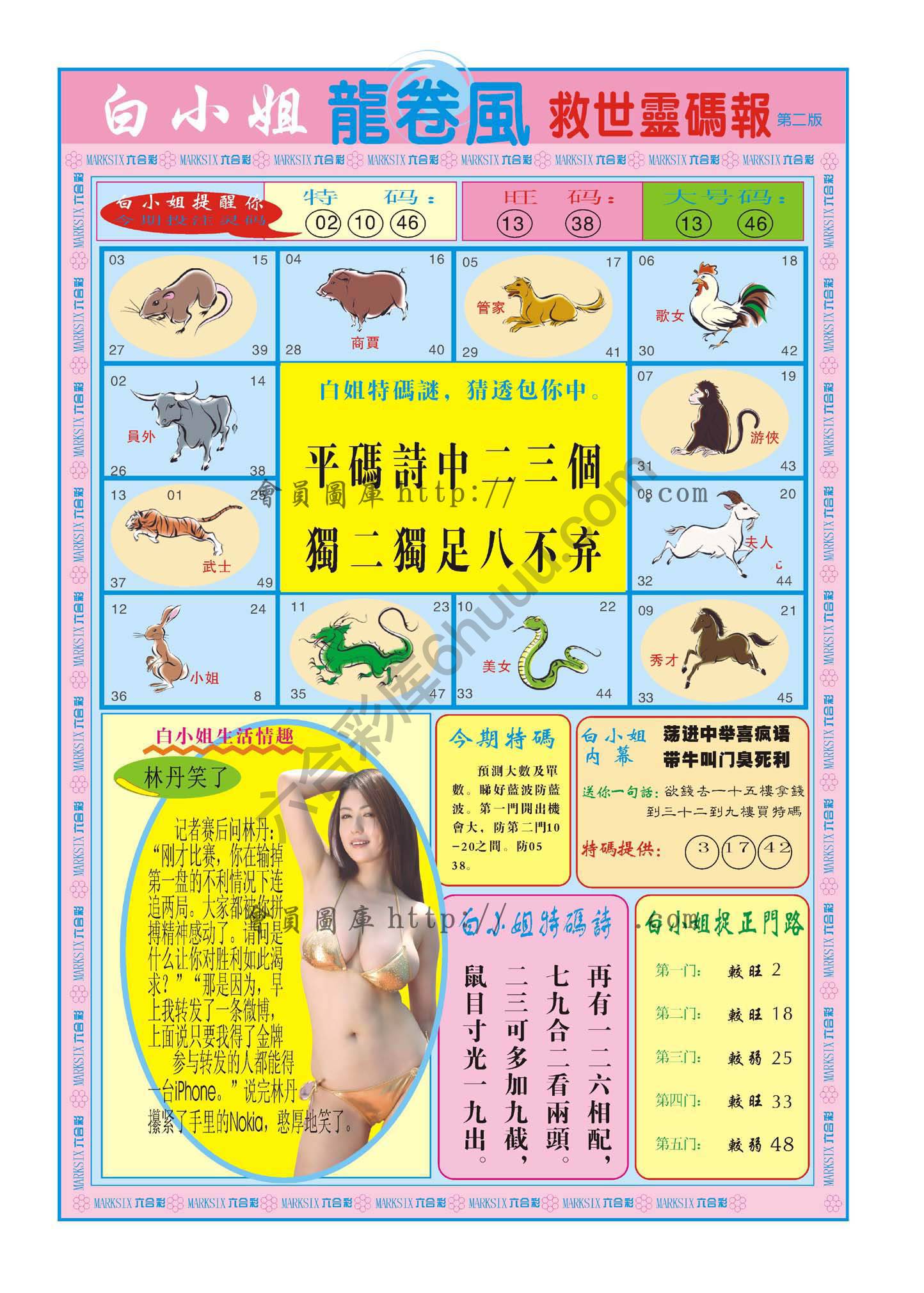 白小姐龙卷风