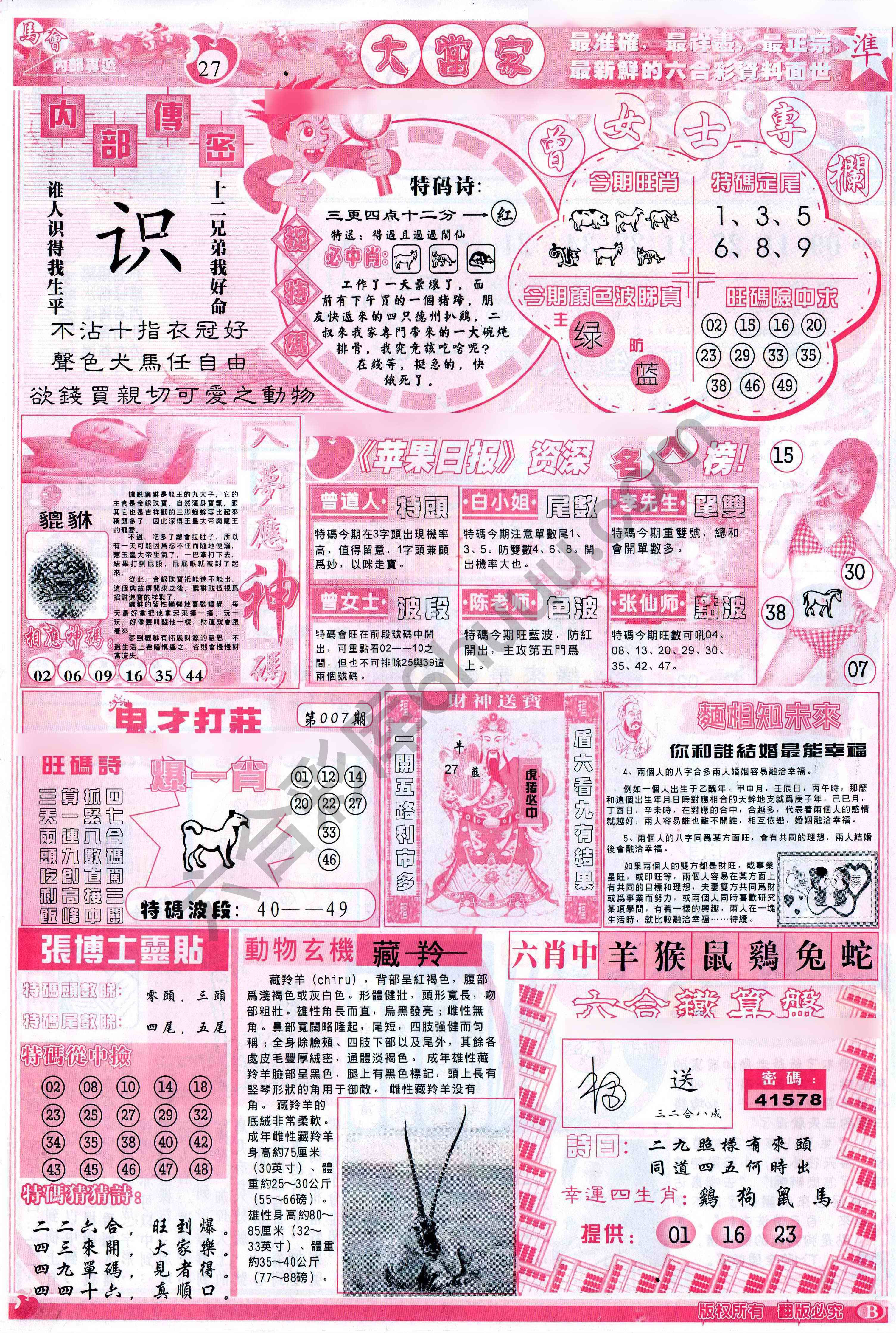 大当家