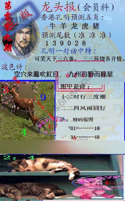 龙头报
