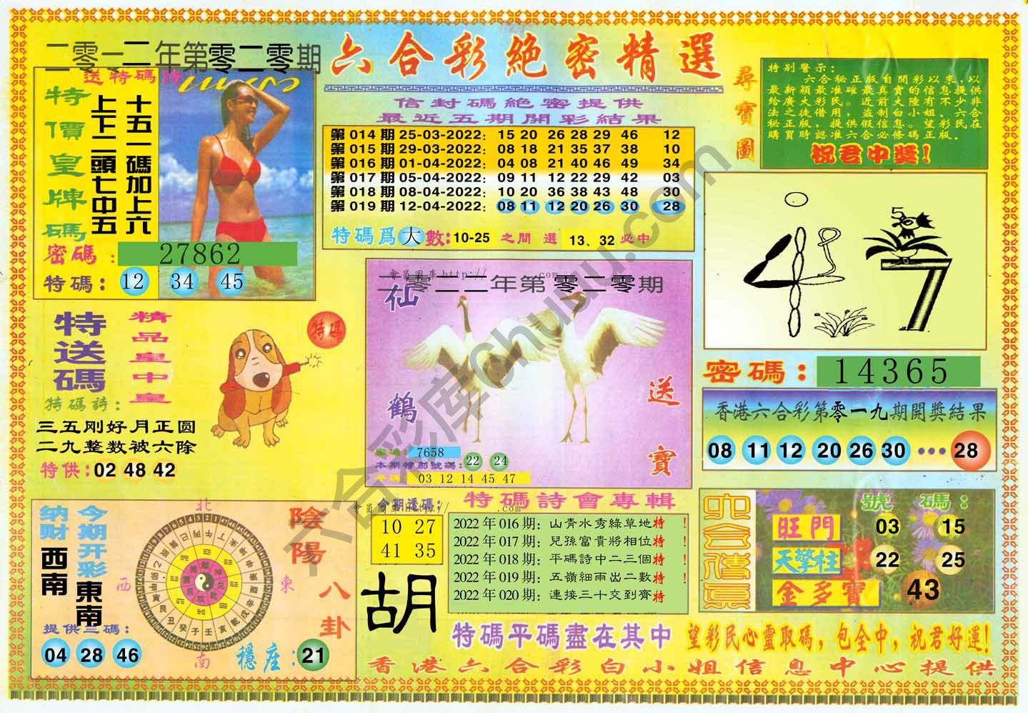 六合彩绝密精选