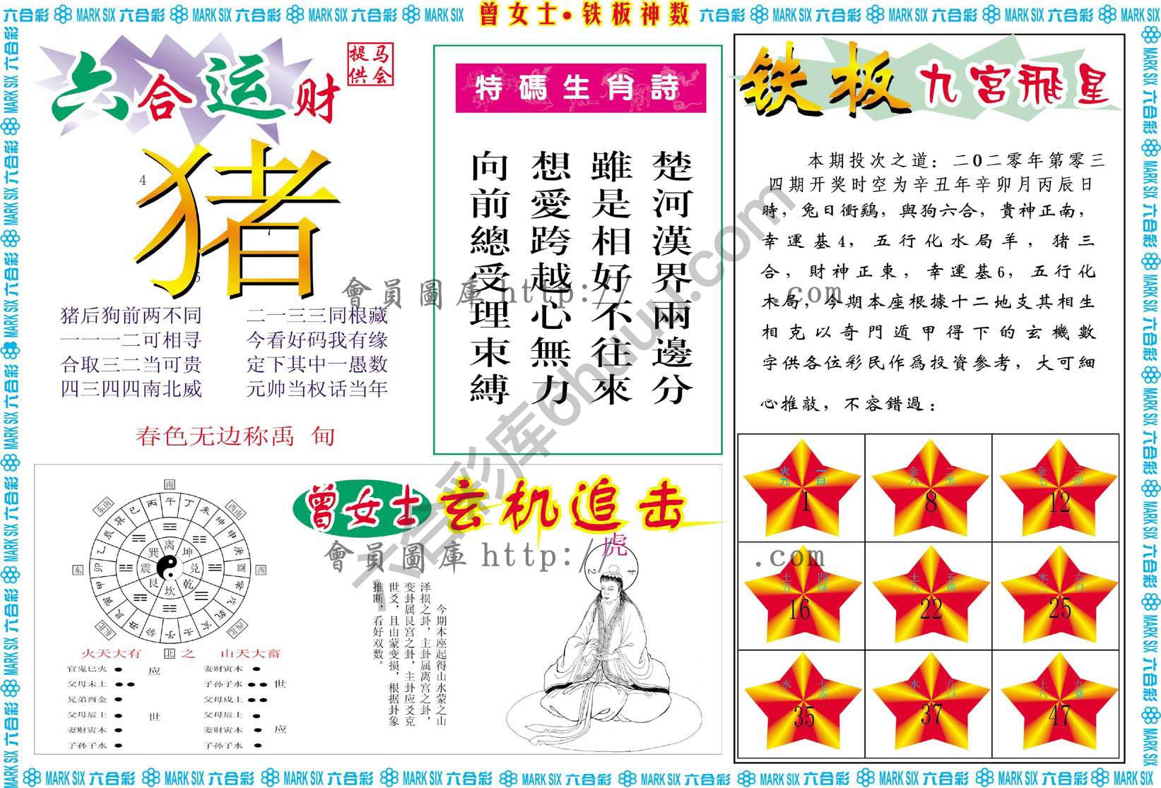 曾女士铁板神数