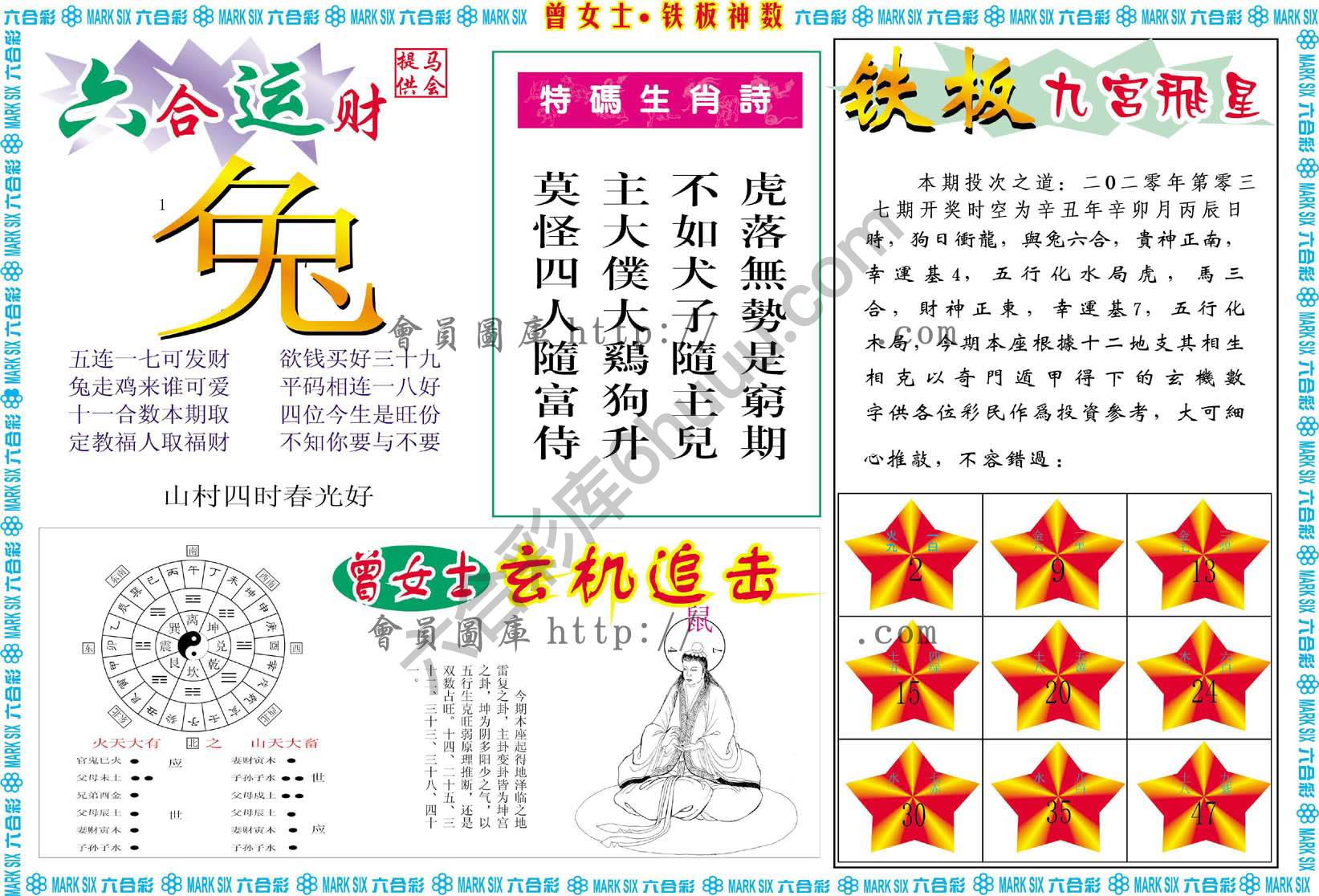 曾女士铁板神数