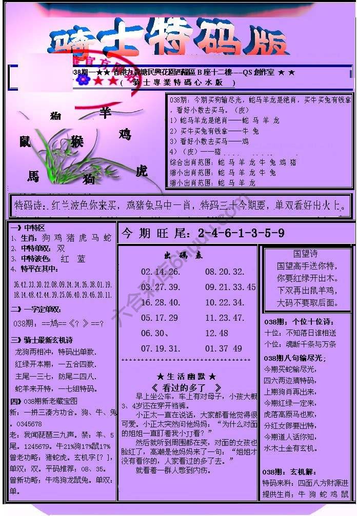 另类骑士特码版