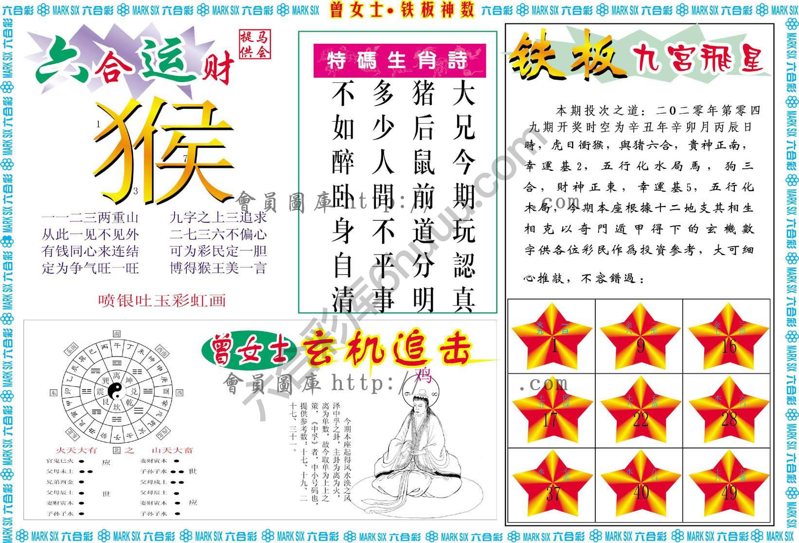 曾女士铁板神数