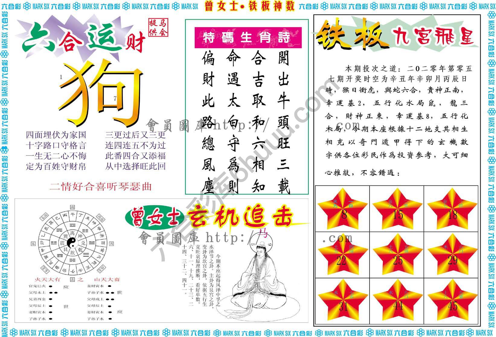 曾女士铁板神数