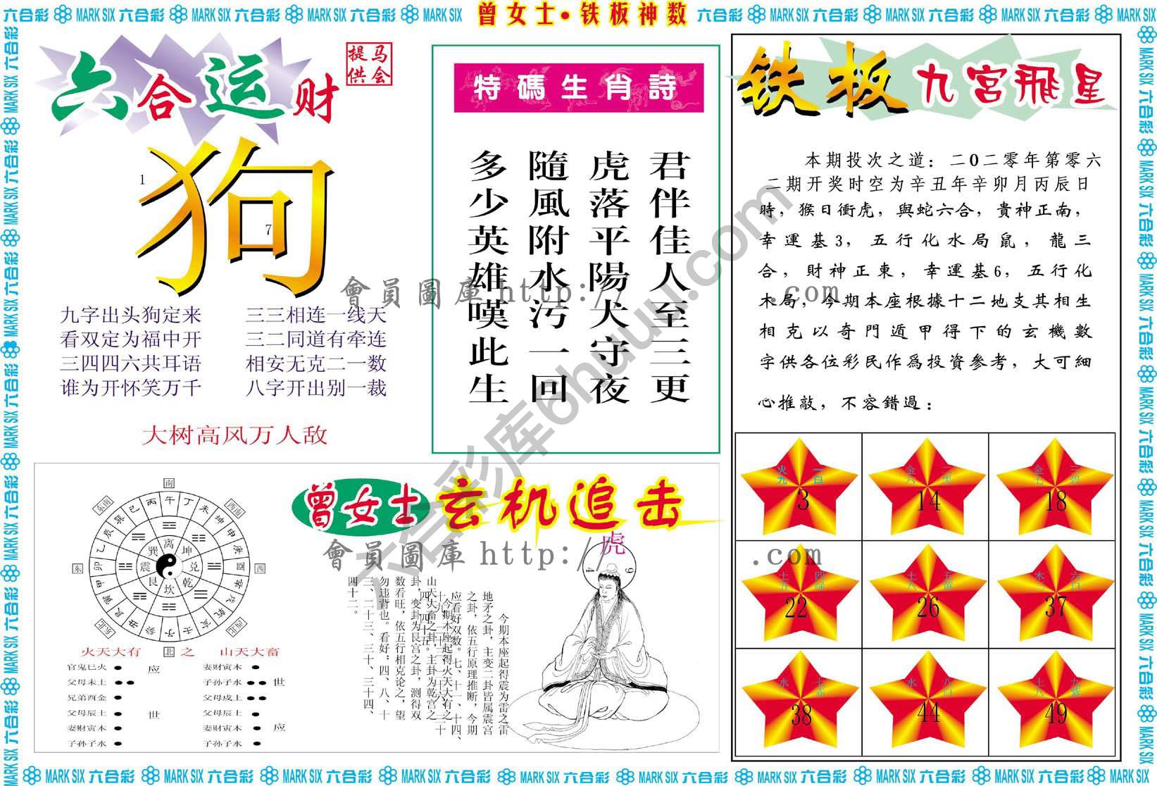 曾女士铁板神数