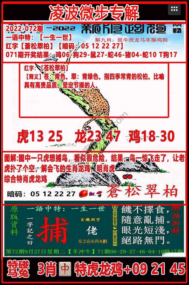 凌波微步解跑狗