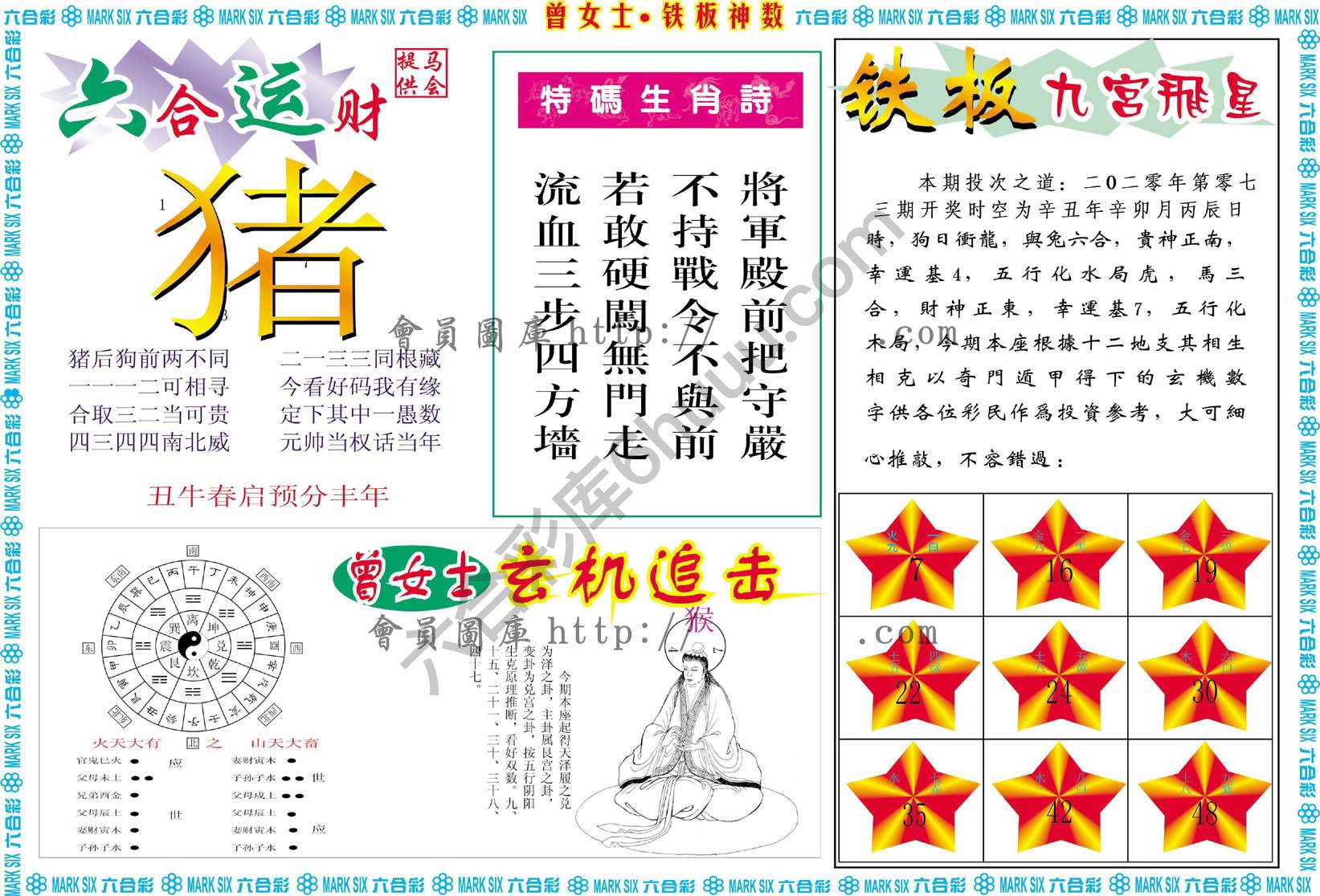 曾女士铁板神数