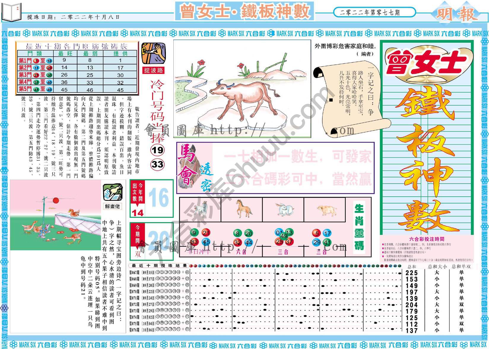 曾女士铁板神数