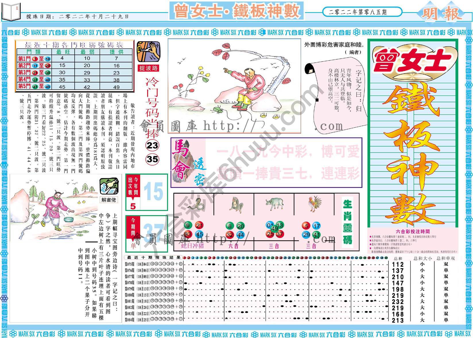 曾女士铁板神数