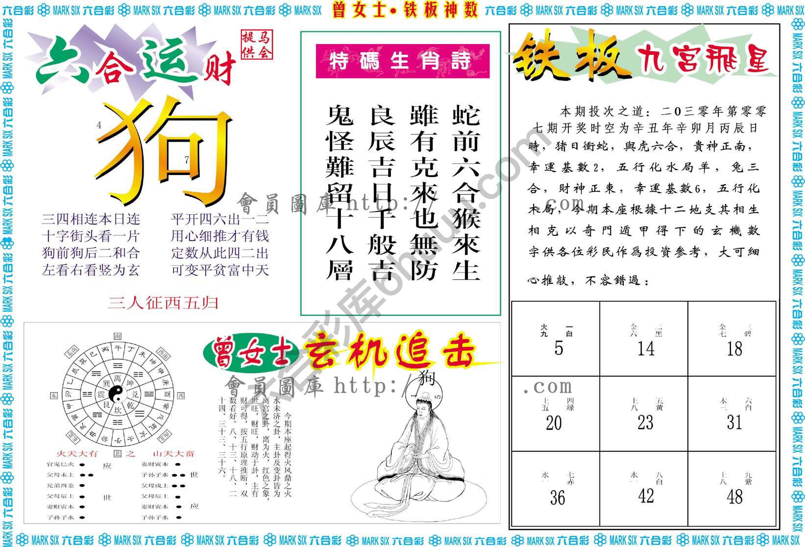 曾女士铁板神数