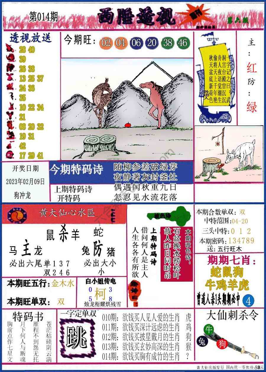 西陲透视（正版）