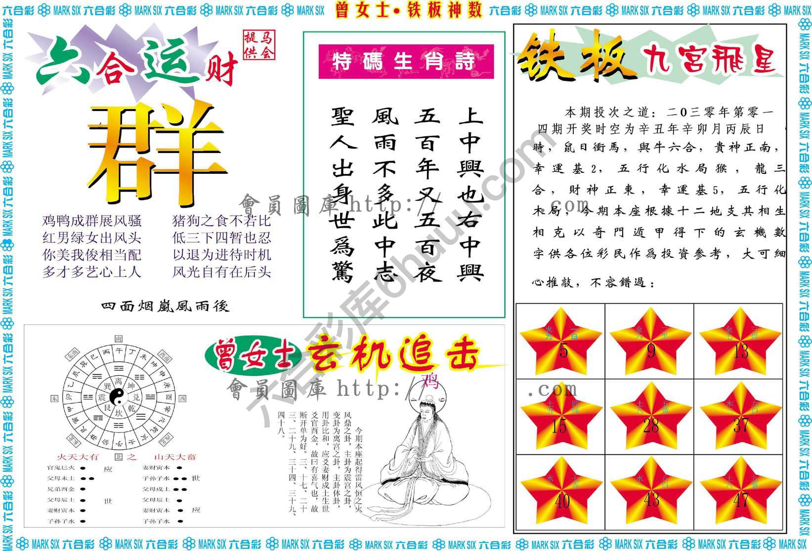 曾女士铁板神数