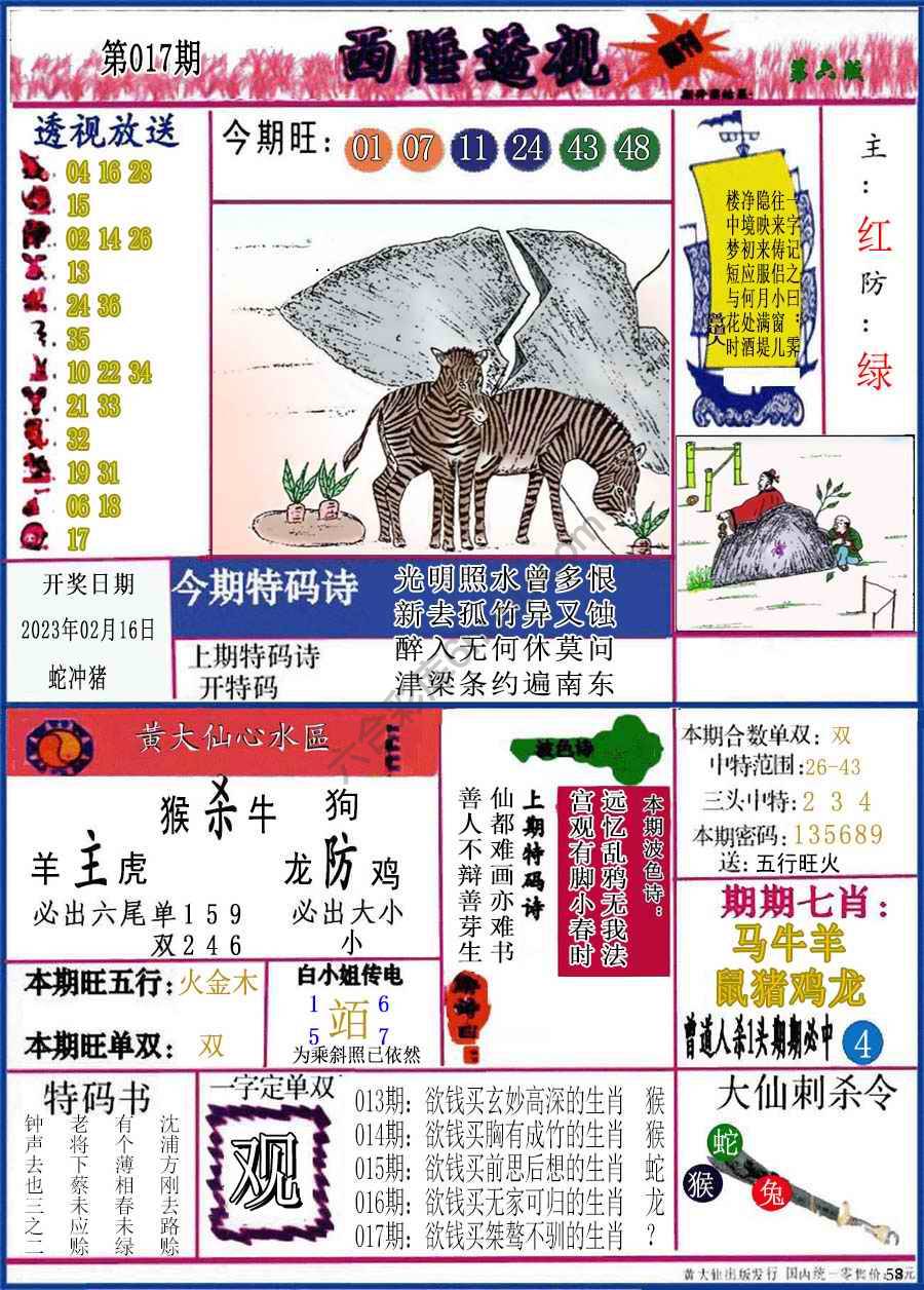 西陲透视（正版）