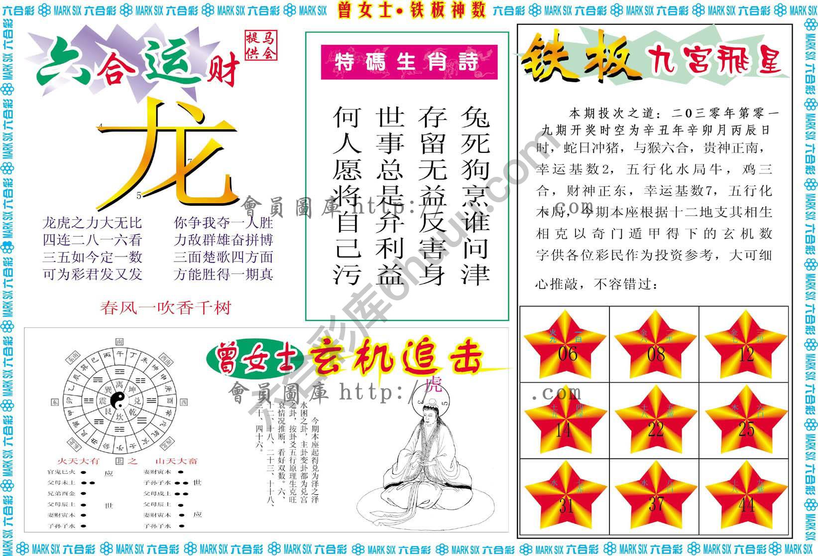 曾女士铁板神数