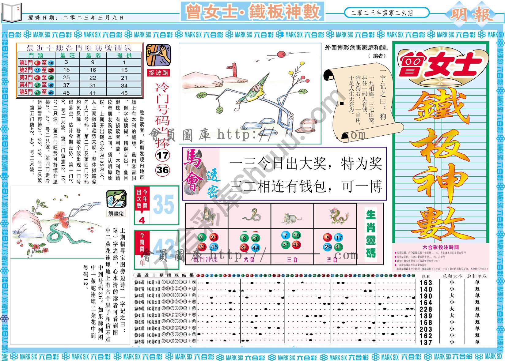 曾女士铁板神数