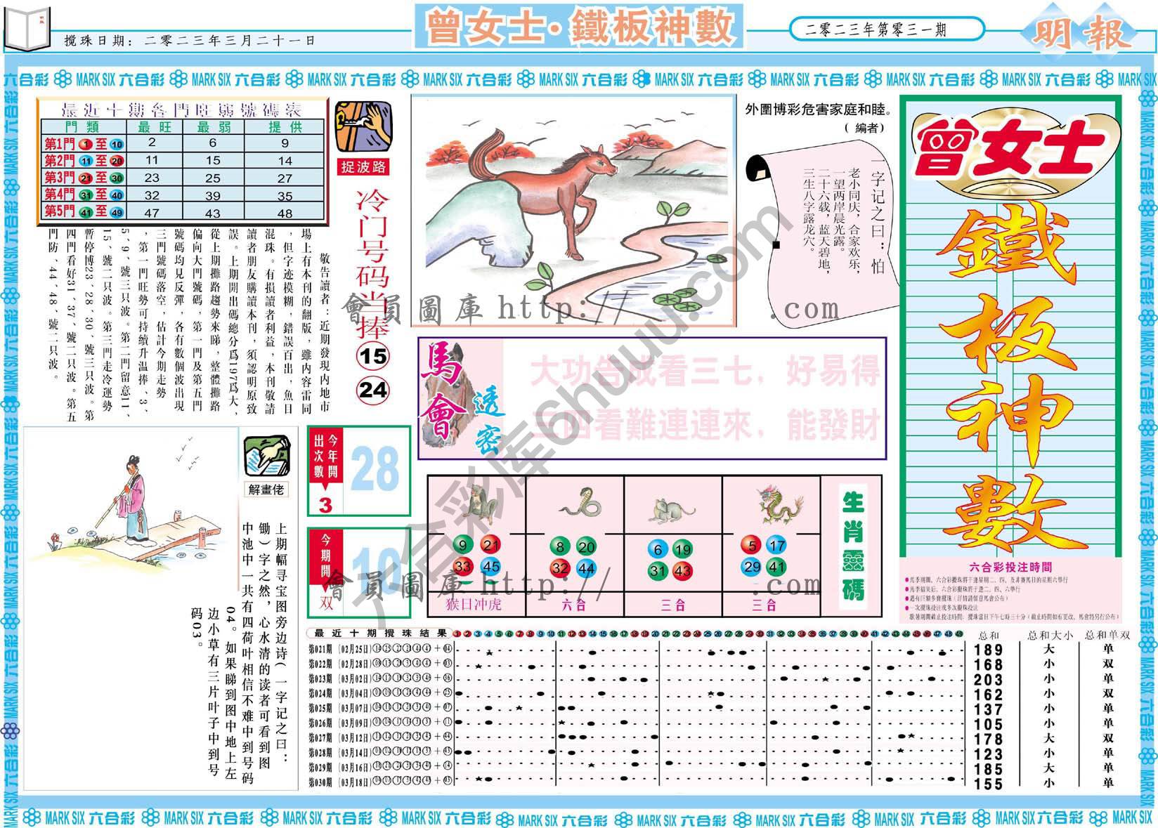 曾女士铁板神数