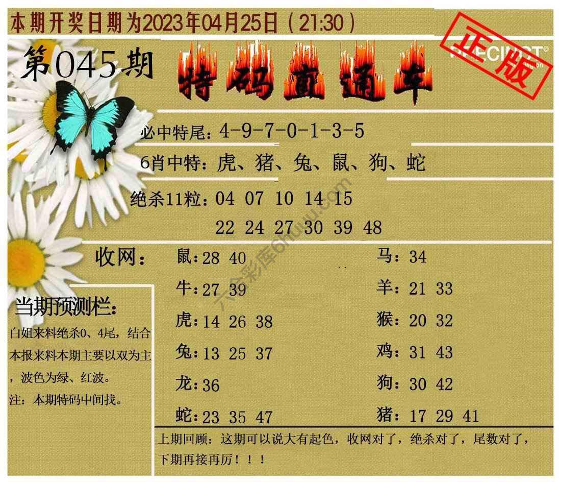 特码直通车