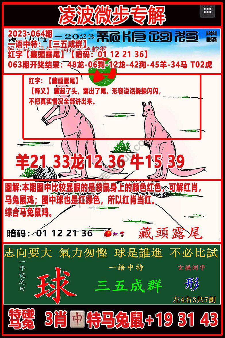 凌波微步解跑狗