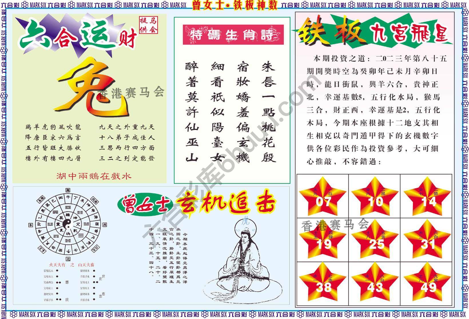 曾女士铁板神数