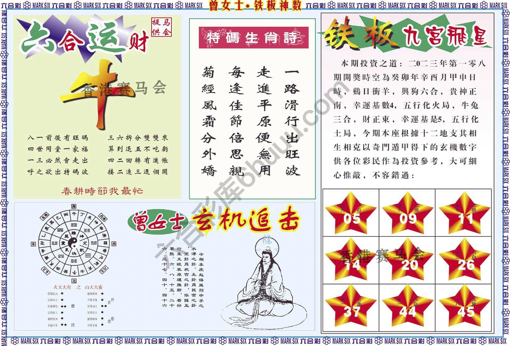 曾女士铁板神数