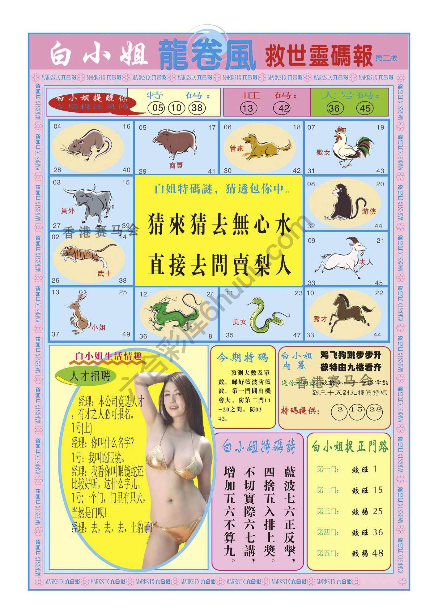 白小姐救世灵码报