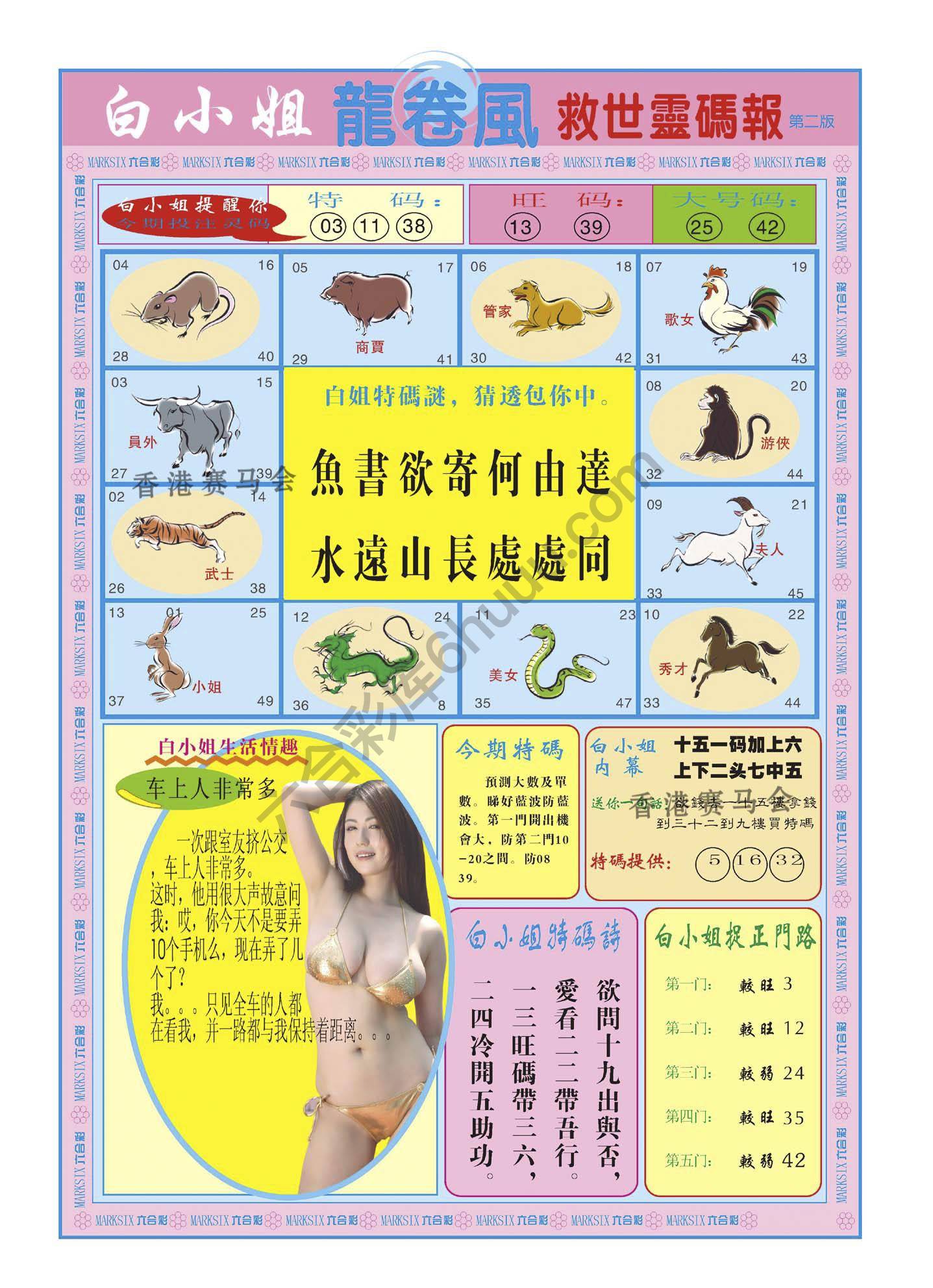 白小姐救世灵码报