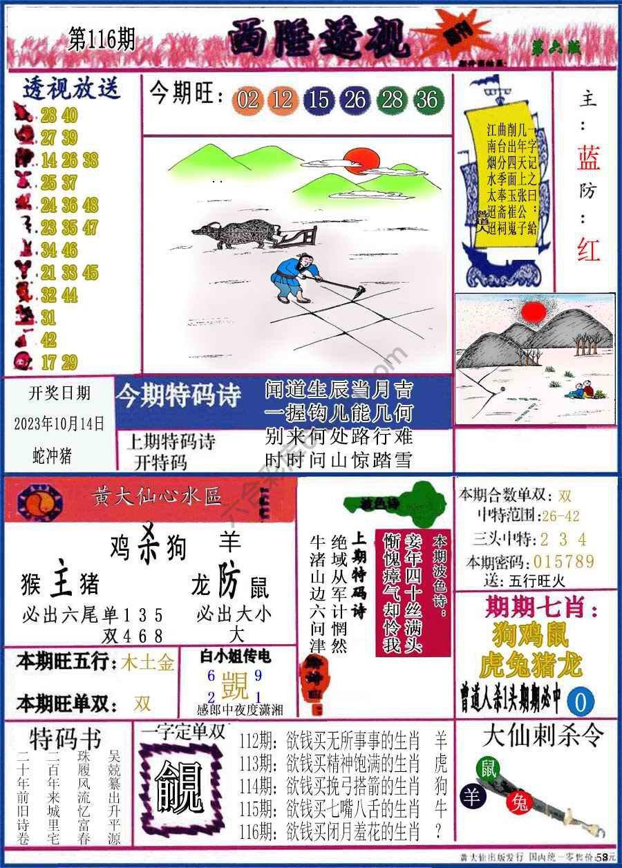 西陲透视（正版）