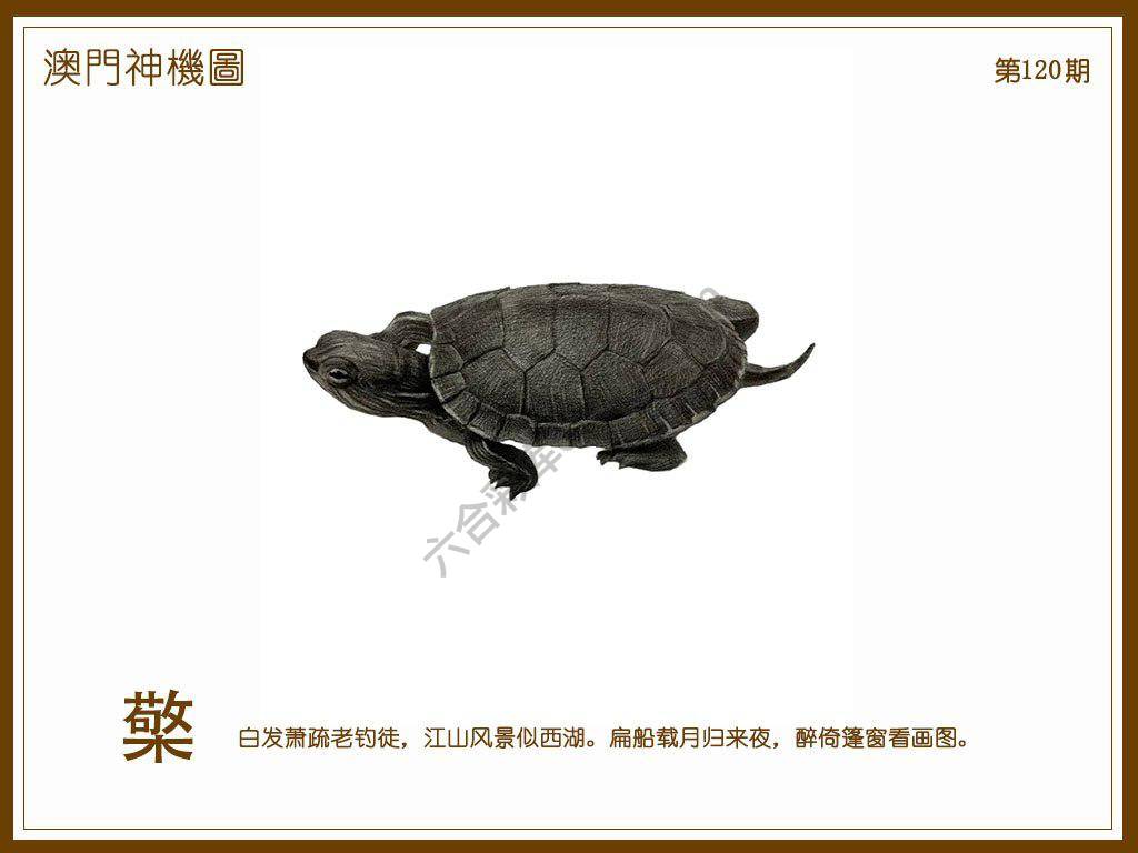 澳门神机图