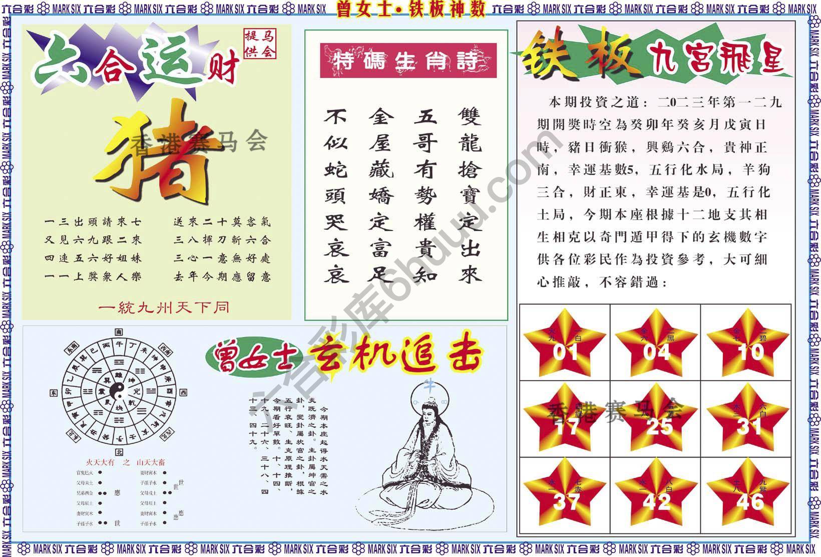 曾女士铁板神数