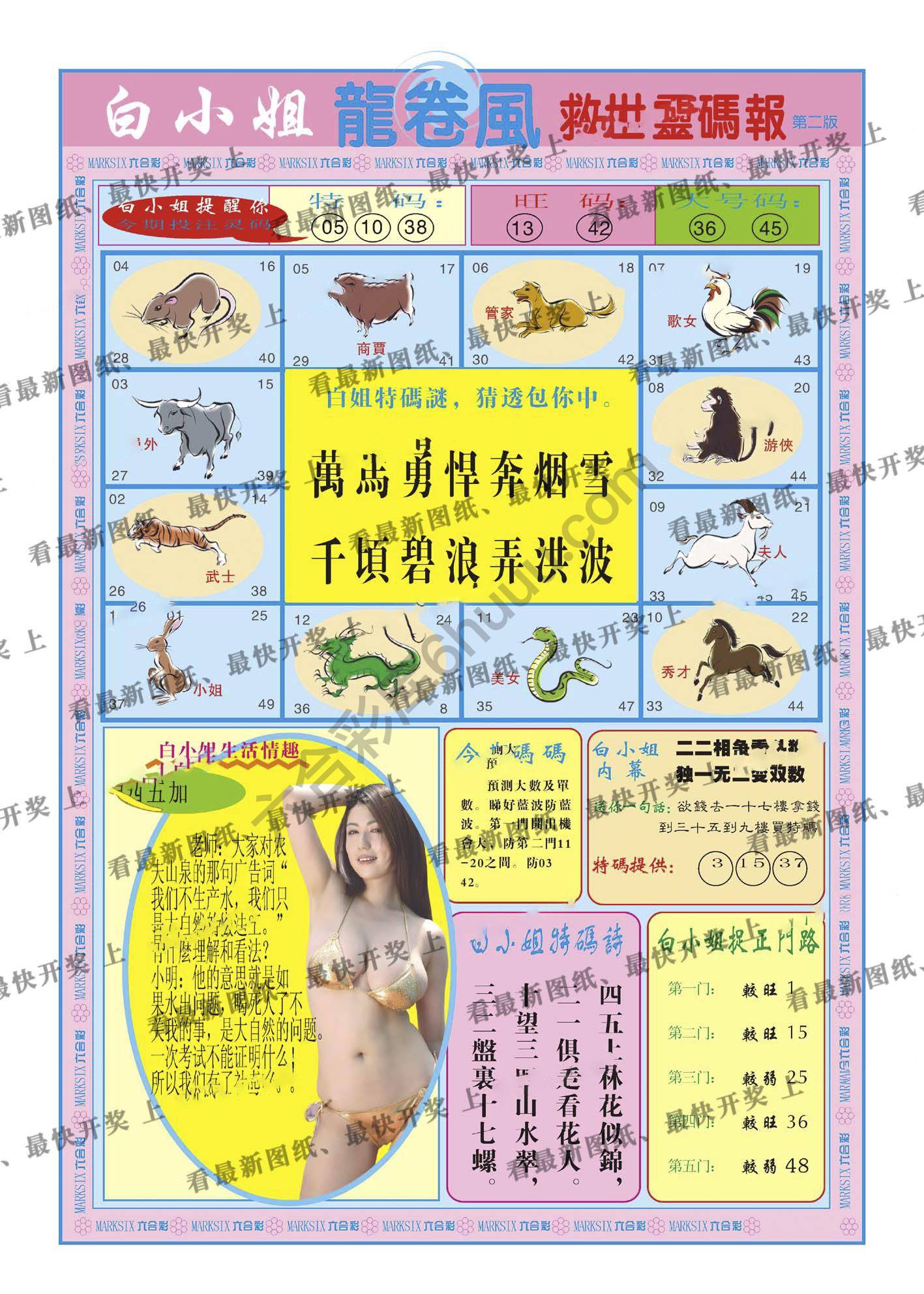 白小姐救世灵码报