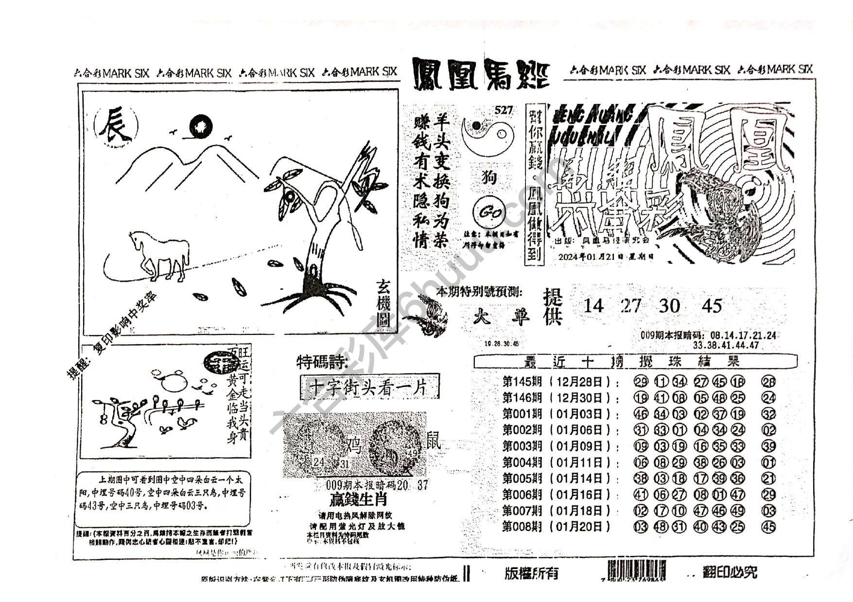 凤凰马经