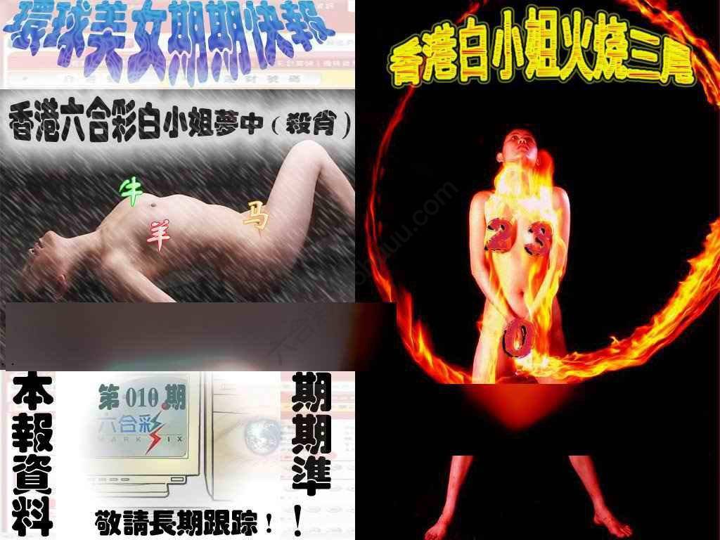 环球美女特码报