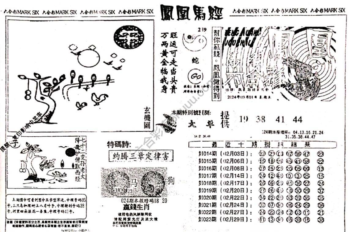 凤凰马经