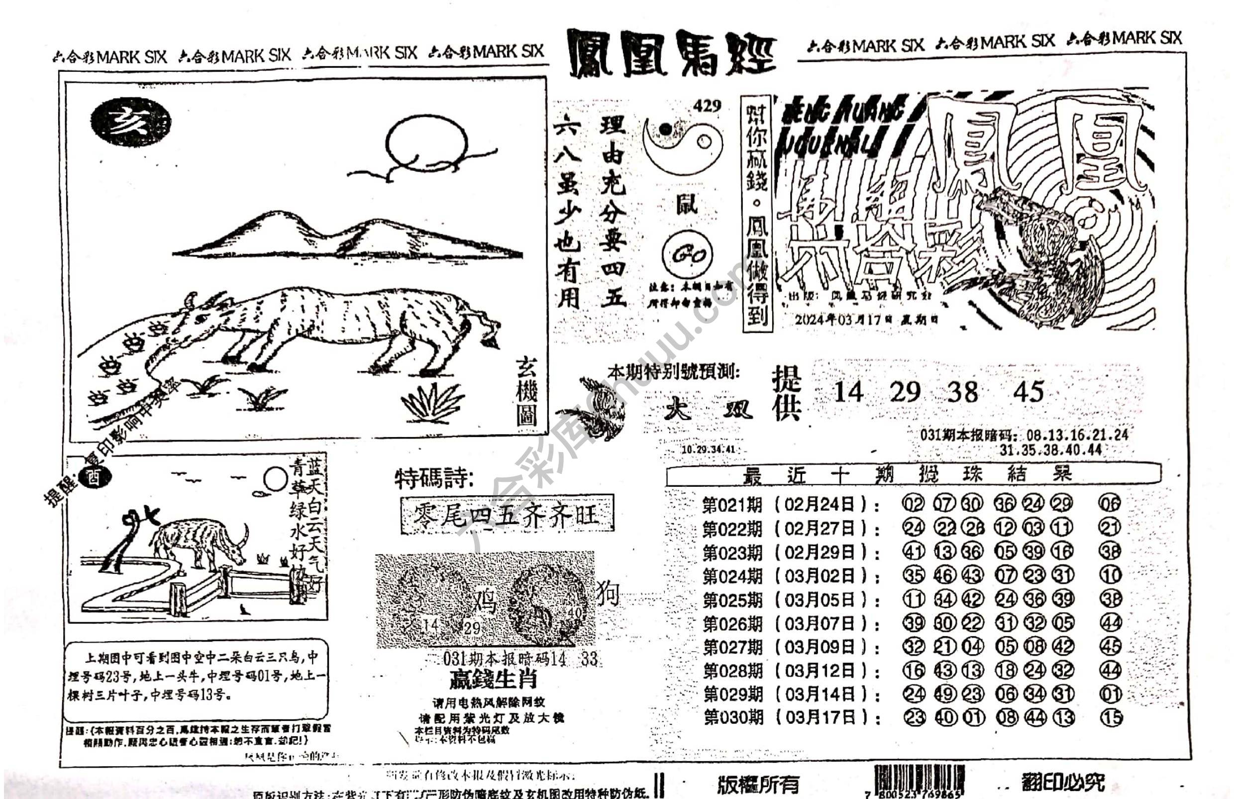 凤凰马经