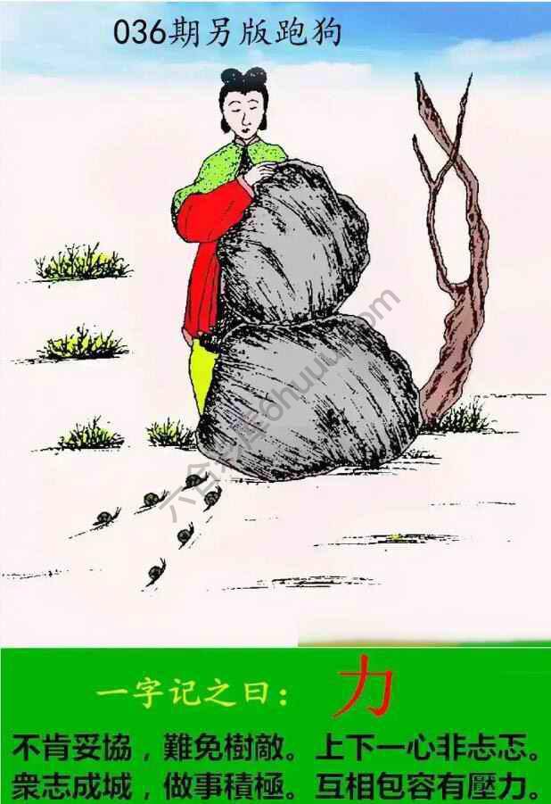 另版跑狗