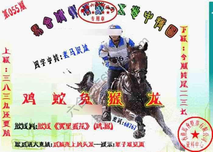 马会传真五肖料