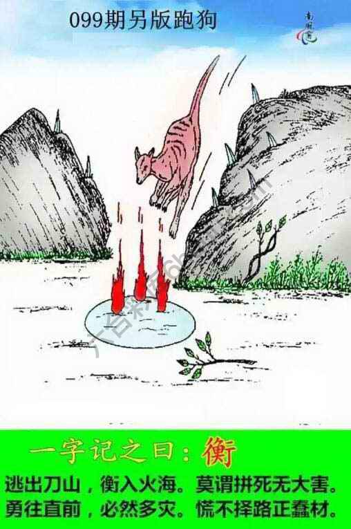 另版跑狗